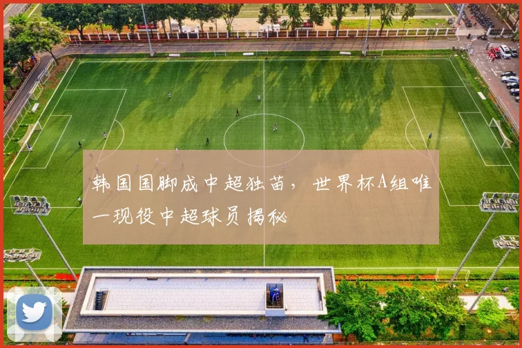 韩国国脚成中超独苗,世界杯A组唯一现役中超球员揭秘