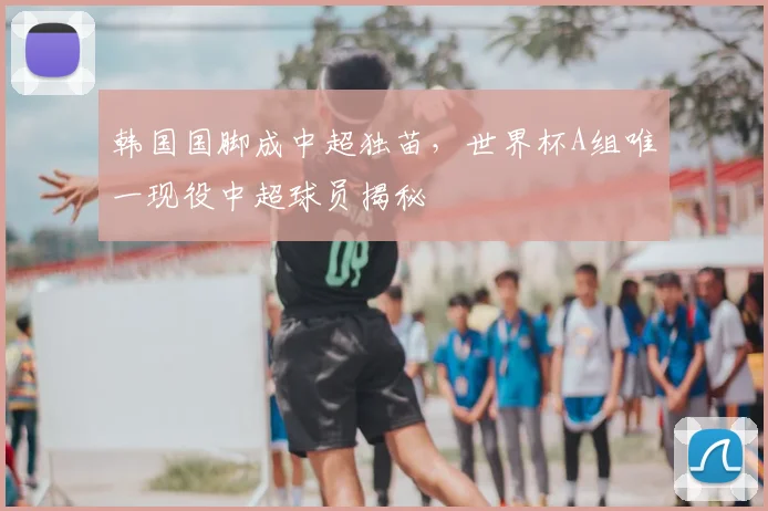 韩国国脚成中超独苗,世界杯A组唯一现役中超球员揭秘